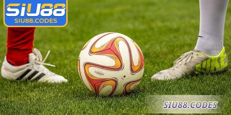 Kèo 1/2 Siu88 Bí Quyết Thắng Lớn Nhờ Phân Tích Chuẩn Xác 1 Biểu đồ thống kê kèo 1/2 Siu88 hiển thị phong độ rõ ràng