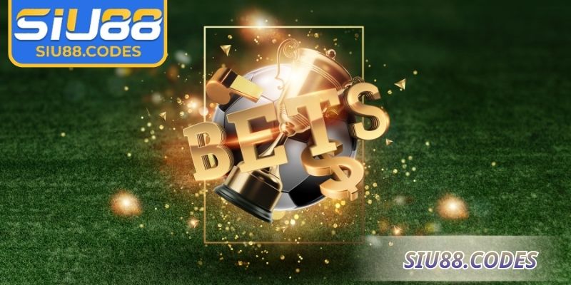 Giới thiệu tổng quan về kèo nhà cái Siu88 
